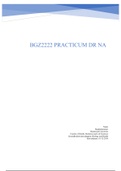 BGZ2222 Practicum verslag DRNA