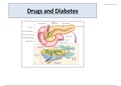 Drugs and diabetes