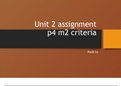 level 3 ict unit 2 assignment 2 p4 and m2