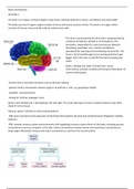 Brain and Behavior notes
