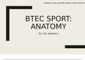 Btec sport level 2 (Anatomy)