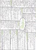 AQA GCSE  Biology - Topic 7 Ecology summary sheet