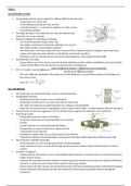 Biology Edexcel A full notes (SNAB) topics 1-8