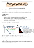 Economics MICROECONOMICS (1st Year Uni) Aesthetic Clear Detailed Revision Notes