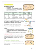 Course 5/term 2: Molecular and biochemical techniques summary