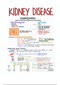 Summary of renal pathologies: AKI and CKD