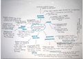Mind maps for The Principle of Science II 