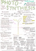 B8 Photsynthesis [AQA Biology GCSE] Poster