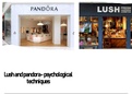 unit 16 assignment 2 p3.p4.m2 and d2 psychological and technological factors (distinction) used in two contrasting retailers: lush and pandora