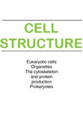A level Biology (OCR A) Revision notes- Module 2- Cell structure