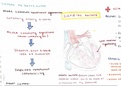 Summary of the main causes and clinical signs/symptoms of heart failure