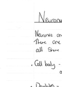 Neuronal Communication Topic Summary - A2 OCR Biology