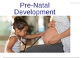 NURS 3632  Ch_2_Pre-natal_development Study Guide