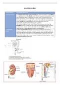 Tabel alle onderdelen nier- Hoofdstuk 10 VWO 5