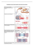 Lecture notes Cell Regulation (C7108)  - lectures 1 and 2 - 2nd 