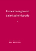 Beroepsproduct procesmanagement salarisadministratie 