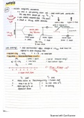 The best A2 Chemistry notes