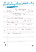 Handwritten Notes on photosynthesise 