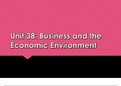 Unit 38 Business and the Economic Environment P5