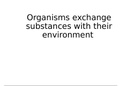 AQA alevel biology - organisms exchange with their environment (unit 3) AS