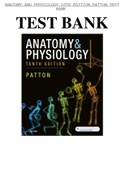 test bank Anatomy and Physiology 10th Edition Patton 