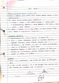 Year 2 Inorganic Chemistry - Main Group Chemistry Written Notes
