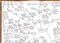 Year 1 Organic Chemistry - Aromaticity Full Lecture Course Mindmap Summary