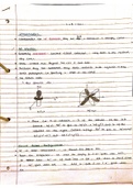 Year 3 Inorganic Chemistry - Lanthanides & Actinides Written Notes Full Lecture Course