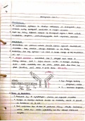 Year 2 Medicinal Chemistry - Biologicals Written Notes Full Lecture Course