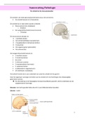 Pathologie: De schedel en de Sinus paranasales