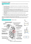 Daphnia Heart rate - Practical 11.2 