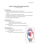 BMS - Foundations of Anatomy - Cardiovascular