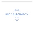 UNIT 1 P7 P8 M3 D2 Assignment 4 Communication and Skills for IT