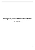 European judicial protection exam notes 