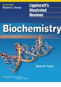  Lippincott 39 s illustrated reviews biochemistry 6th