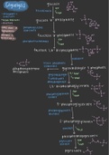 Glycolysis Concept Map 