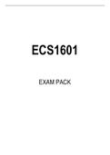 ECS1601 EXAM PACK 2022