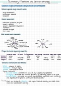 Summary Molecular and Cellular Toxicology 