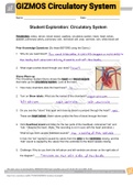 Exam (elaborations) GIZMOS Circulatory System 