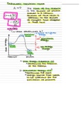 Class notes Biochemistry (AB_1137) on Enzymes