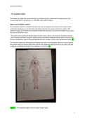 Unit 8 learning aim B- The Lymphatic System 