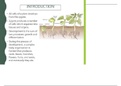 plant growth and plant hormones (biology botany F.sc & B.s)