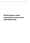 NR 509 Shadow Health Comprehensive Assessment SOAP NOTE 100%.pdf