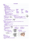 Muscoloskeletal (MSK) Exam 3 Study Guide