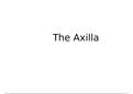 Anatomy of axilla with neurovascular supply