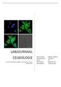 Labjournaal hCR translocatie celbiologie psychobiologie jaar 1