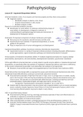 Summary second exam Medical Biochemistry and Pathophysiology