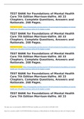 Foundations of Mental Health Care 7th Edition Morrison-Valfre