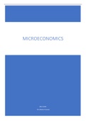 Microeconomics for E&BE Summary 2021-2022 