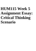 HUM115 Week 5 Assignment Essay: Critical Thinking Scenario